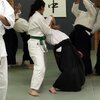 IMG_3135.jpg